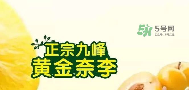 黃金奈李多少錢一斤？黃金奈李價(jià)格