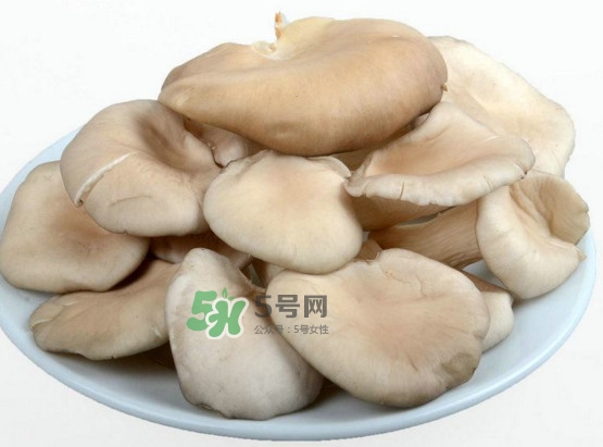 秀珍菇可以和海帶一起吃嗎？海帶能和秀珍菇一起吃嗎