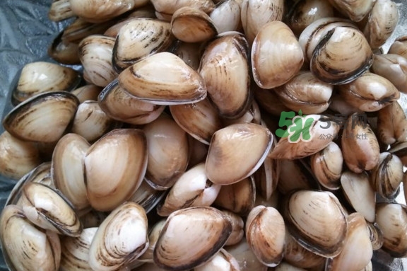 海瓜子多少錢一斤？西湖撈起的海瓜子能吃嗎