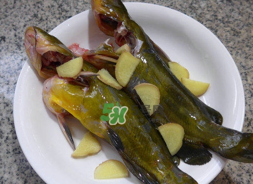 黃刺魚幾月份最好釣？黃刺魚怎么釣