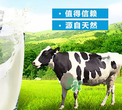 牛初乳是奶粉嗎？牛初乳跟奶粉的區(qū)別