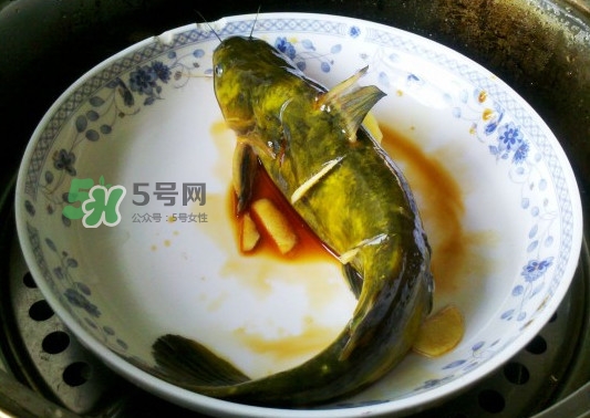 黃刺魚怎么殺？黃刺魚怎么處理