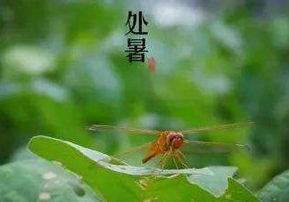 立秋為什么在處暑前？為什么立秋早過(guò)處暑？
