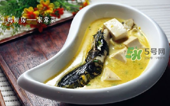 黃刺魚怎么殺？黃刺魚怎么處理