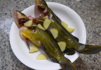 黃刺魚幾月份最好釣？黃刺魚怎么釣