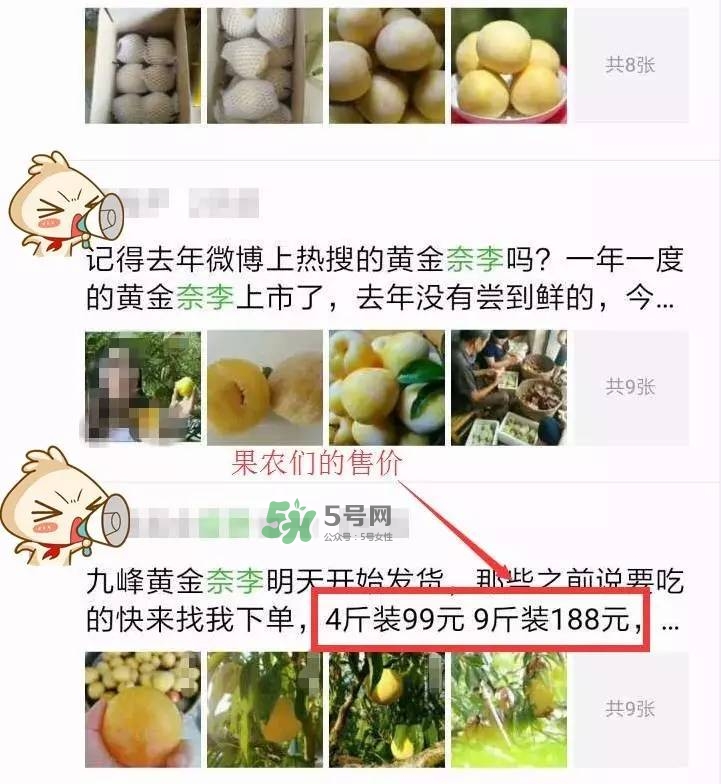 黃金奈李多少錢一斤？黃金奈李價(jià)格