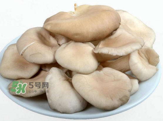 秀珍菇孕婦可以吃嗎？孕婦能吃秀珍菇嗎