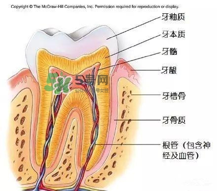 regenerate牙膏多少錢？regenerate牙膏專柜價格