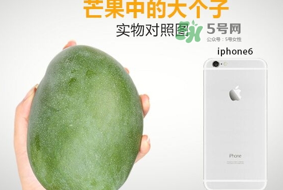 凱特芒果多少錢一斤？凱特芒果價格