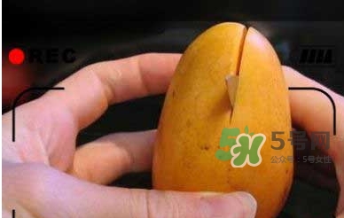 凱特芒果怎么吃？凱特芒果食用方法