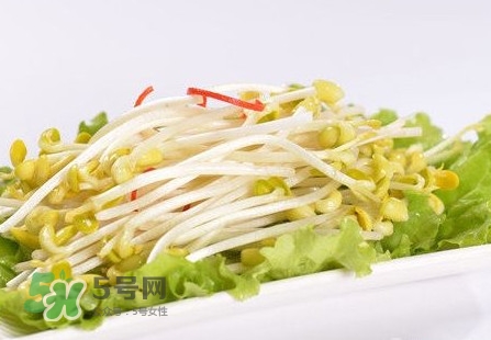 豆芽怎么保存？新鮮豆芽放冰箱能放幾天？