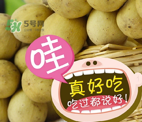 龍宮果孕婦可以吃嗎？懷孕可以吃龍功果嗎