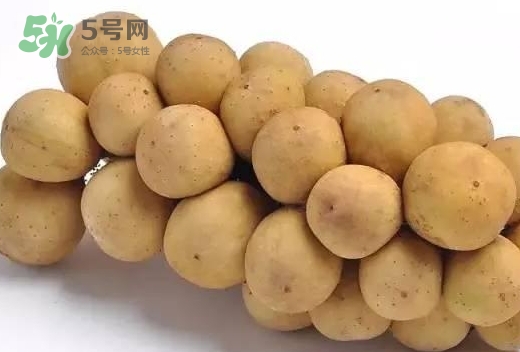 龍宮果多少錢一斤？龍功果價(jià)格表