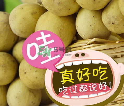 龍宮果多少錢一斤？龍功果價(jià)格表