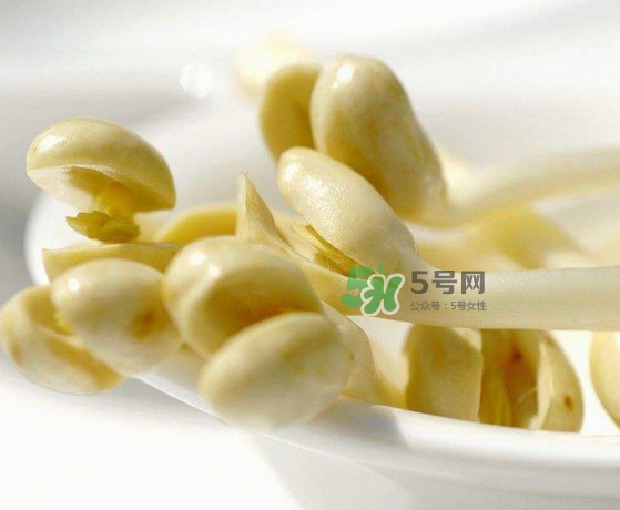 花生芽炒菜吃可以嗎？花生芽能吃嗎