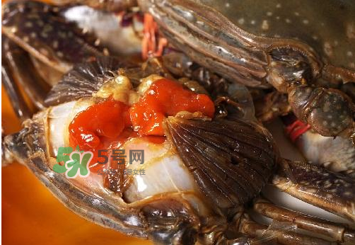 梭子蟹有蟹黃嗎？梭子蟹蟹黃在哪里？