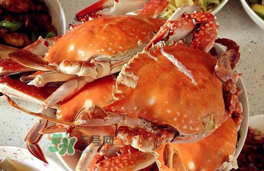 梭子蟹為什么沒有蟹黃？梭子蟹蟹黃能吃嗎？