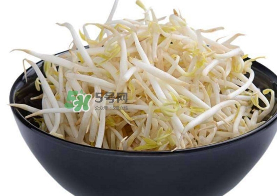 豆芽什么季節(jié)吃？豆芽什么時候有