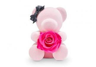 roseonly熊多少錢？roseonly玫瑰熊多少錢？