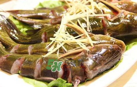 黃蜂魚怎么做好吃？黃蜂魚怎么釣