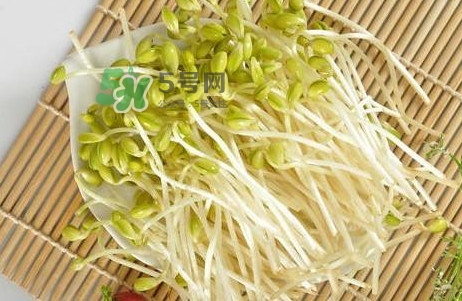 豆芽怎么保存？新鮮豆芽放冰箱能放幾天？