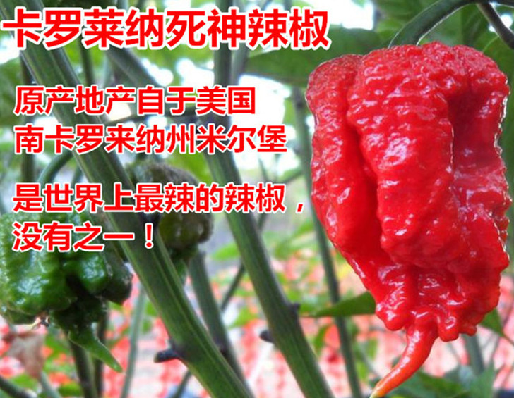 死神辣條多少錢一盒？死神辣條能吃嗎