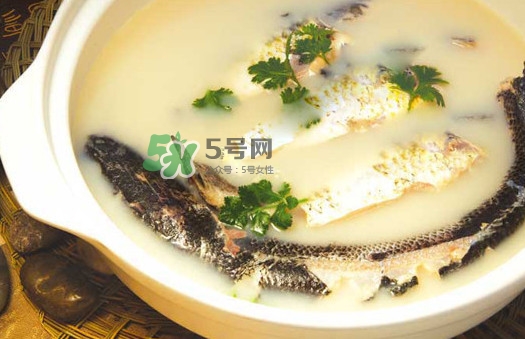 黃蜂魚怎么煮好吃？黃蜂魚燉湯孕婦可以喝嗎