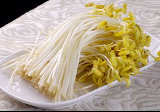 豆芽有綠葉還能吃嗎？豆芽有點(diǎn)爛了還能吃嗎