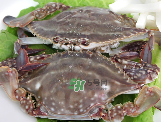 梭子蟹為什么這么貴？梭子蟹和大閘蟹哪個貴？