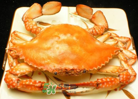 飛蟹什么時候最肥？飛蟹幾月份最肥？