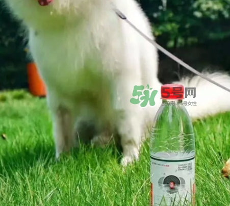 網(wǎng)易云音樂(lè)農(nóng)夫山泉樂(lè)瓶怎么玩？云音樂(lè)農(nóng)夫山泉玩法