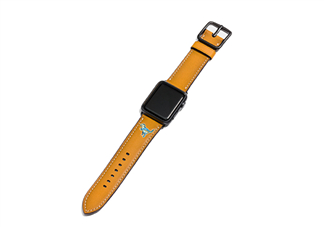 coach apple watch恐龍表帶多少錢？蔻馳蘋果手表恐龍表帶價格