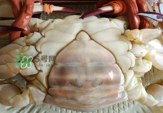 飛蟹多少錢(qián)一斤？飛蟹多少錢(qián)一斤2017？