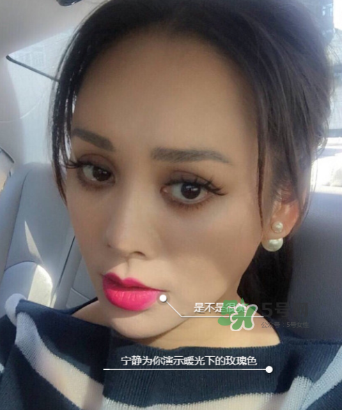 ysl208是什么顏色？ysl208適合黃皮嗎？