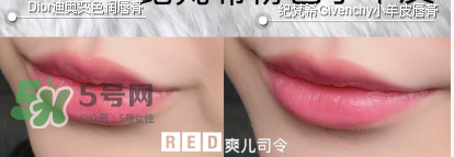 紀(jì)梵希變色唇膏和迪奧變色唇膏哪個(gè)好_怎么選？