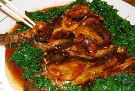 河豚魚(yú)怎么吃？河豚魚(yú)怎么去毒