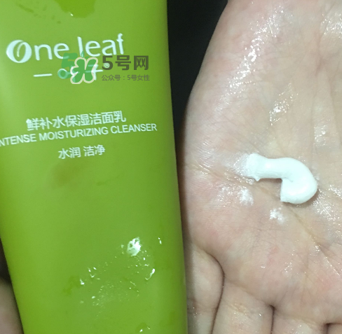 一葉子鮮補水洗面奶怎么樣？一葉子鮮補水潔面乳好用嗎？