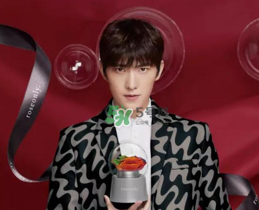 roseonly音樂盒多少錢？roseonly音樂盒歌曲名