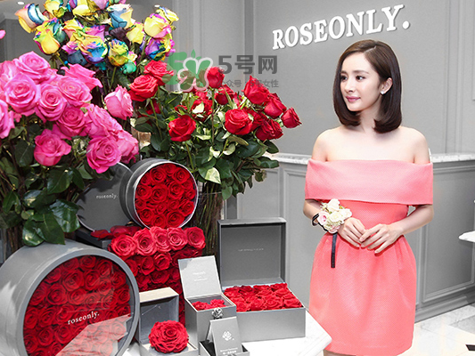 roseonly音樂盒多少錢？roseonly音樂盒歌曲名