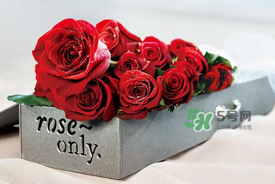 roseonly永生花可以保存多久？roseonly永生花保養(yǎng)