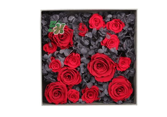 roseonly永生花可以保存多久？roseonly永生花保養(yǎng)