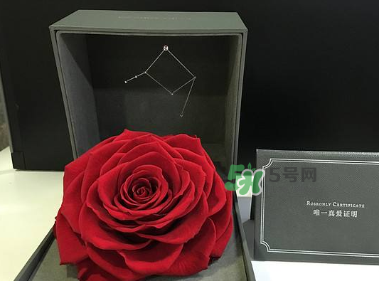 roseonly永生花可以保存多久？roseonly永生花保養(yǎng)