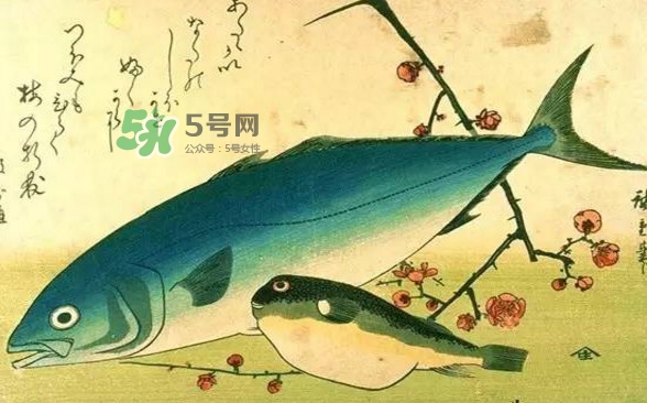 河鲀可以養(yǎng)嗎？河鲀有毒為什么還要吃
