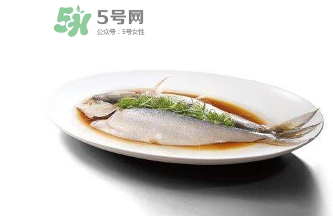鰣魚還有嗎？長江鰣魚滅絕了嗎