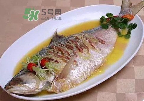 鰣魚(yú)怎么讀？鰣魚(yú)是什么魚(yú)