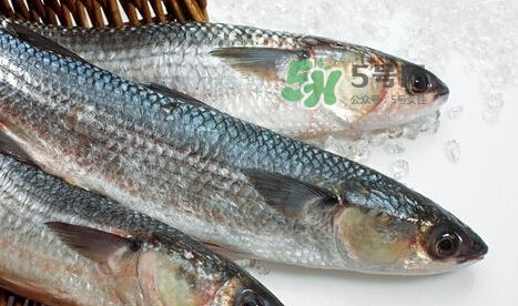 鰣魚多少錢一斤？長江鰣魚多少錢一斤2017
