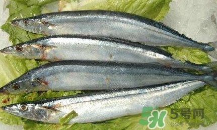 鰣魚和刀魚哪個(gè)貴？長江三鮮哪個(gè)最貴