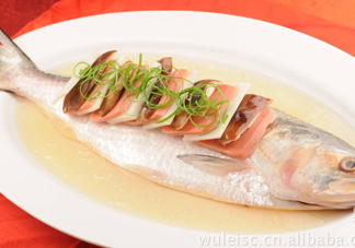 為什么吃清蒸海鰣魚都是半條？鰣魚有什么營養(yǎng)價(jià)值