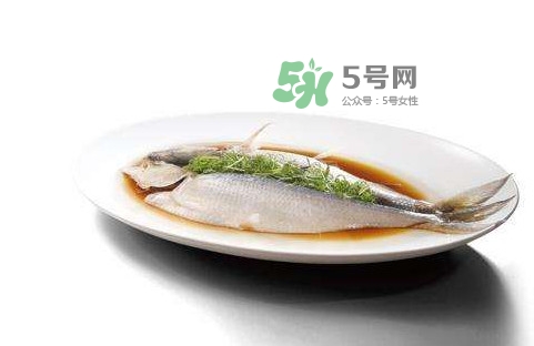 鰣魚刺多嗎？鰣魚可以養(yǎng)殖嗎