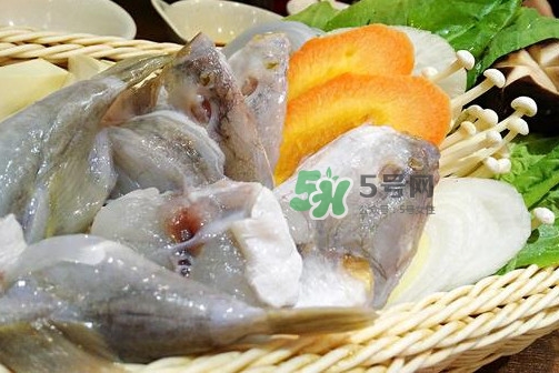 河豚可以當寵物養(yǎng)嗎？河豚可以用淡水養(yǎng)嗎